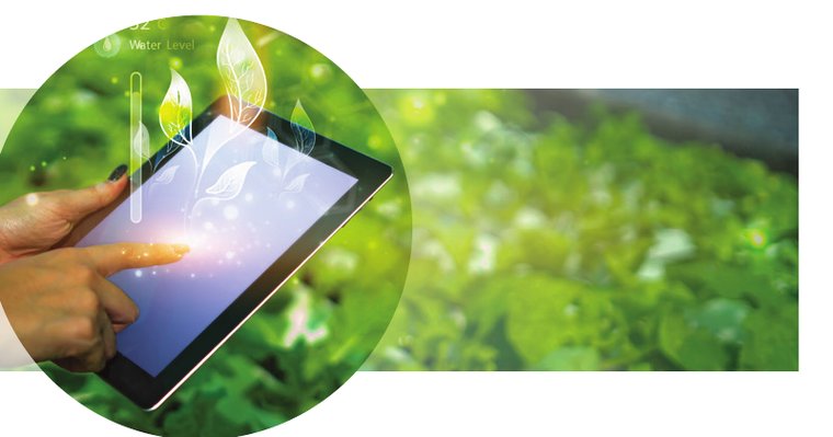 Smart Agriculture Solutions